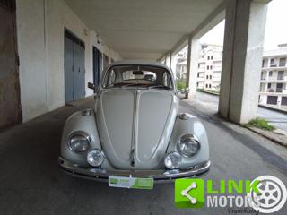 VOLKSWAGEN Maggiolino usata 1