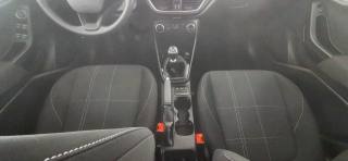 FORD Fiesta usata 33