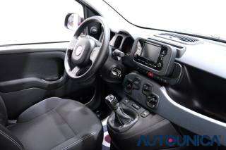 FIAT Panda usata 49