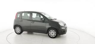 FIAT Panda usata 37