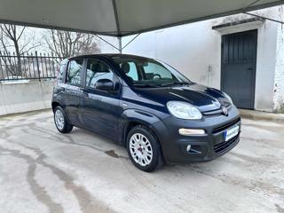 FIAT Panda usata, con Airbag Passeggero