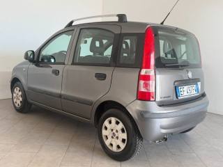 FIAT Panda usata 4