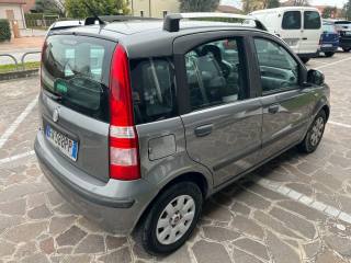 FIAT Panda usata 8