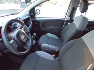 FIAT Panda usata 16