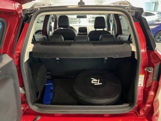 FORD EcoSport usata, con Filtro antiparticolato