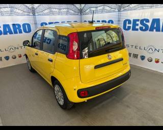 FIAT Pandina usata, con Alzacristalli elettrici