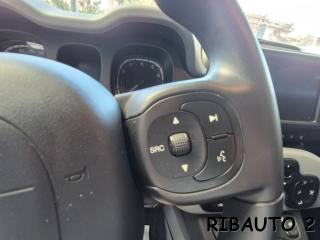 FIAT Panda Cross usata, con Servosterzo