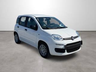 FIAT Pandina usata, con Airbag laterali