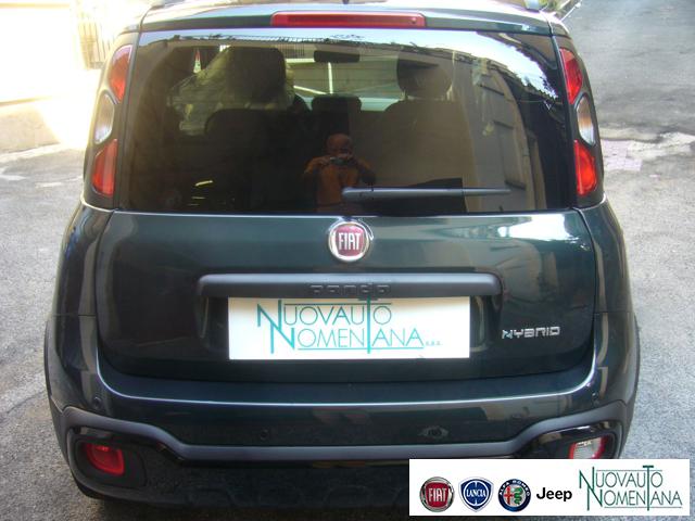 FIAT Panda Cross usata, con Fendinebbia