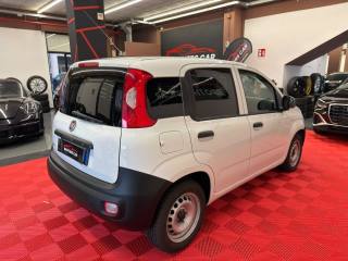 FIAT Panda usata, con Fendinebbia