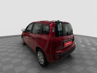 FIAT Panda usata 3