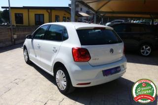 VOLKSWAGEN Polo usata, con Alzacristalli elettrici