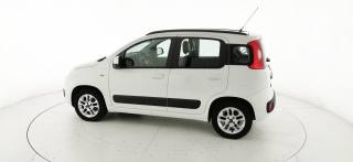 FIAT Panda usata 45