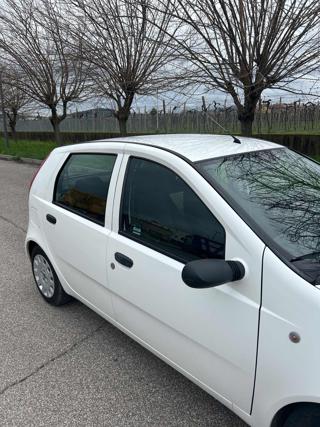 FIAT Punto usata 7