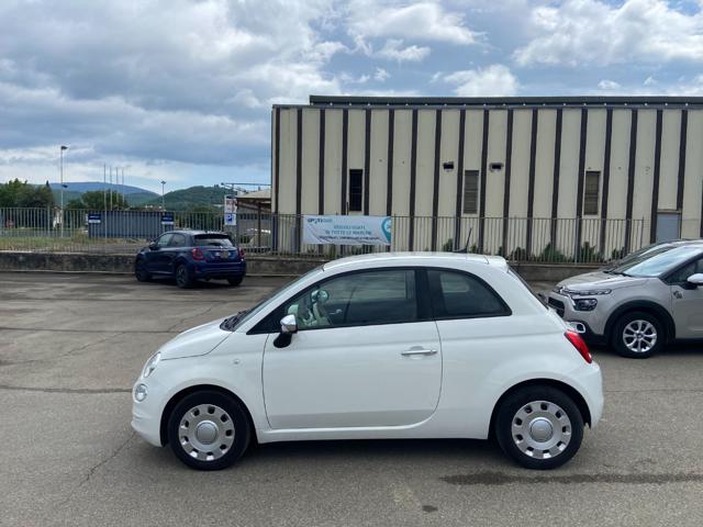 FIAT 500 usata 24