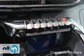 PEUGEOT 3008 usata 11