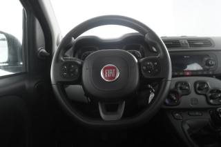 FIAT Panda usata 12