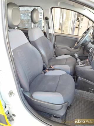 FIAT Panda usata, con Fendinebbia