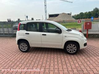 FIAT Panda usata, con Alzacristalli elettrici