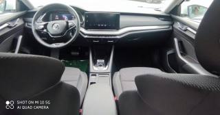 SKODA Octavia usata, con Touch screen
