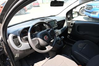 FIAT Panda usata, con Servosterzo