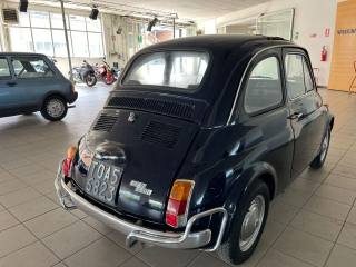FIAT 500L usata 4