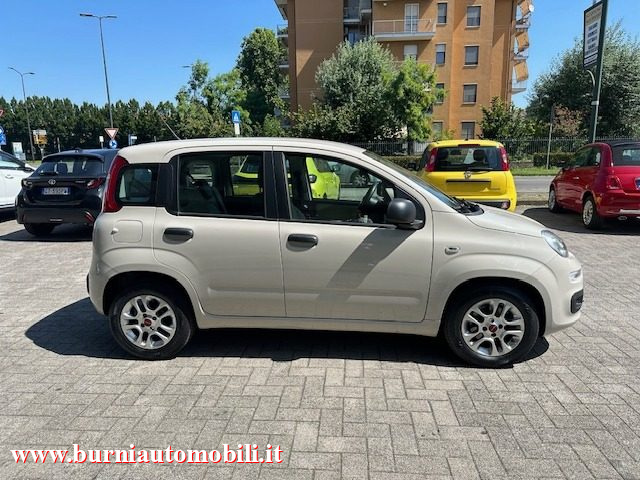 FIAT Panda usata, con Alzacristalli elettrici