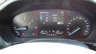 FORD Focus usata 91