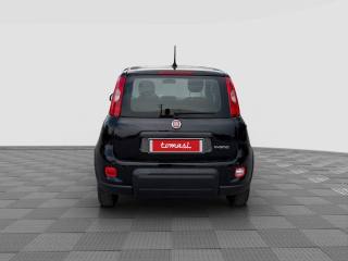 FIAT Panda usata 3