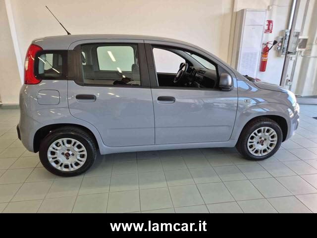 FIAT Panda usata, con Servosterzo