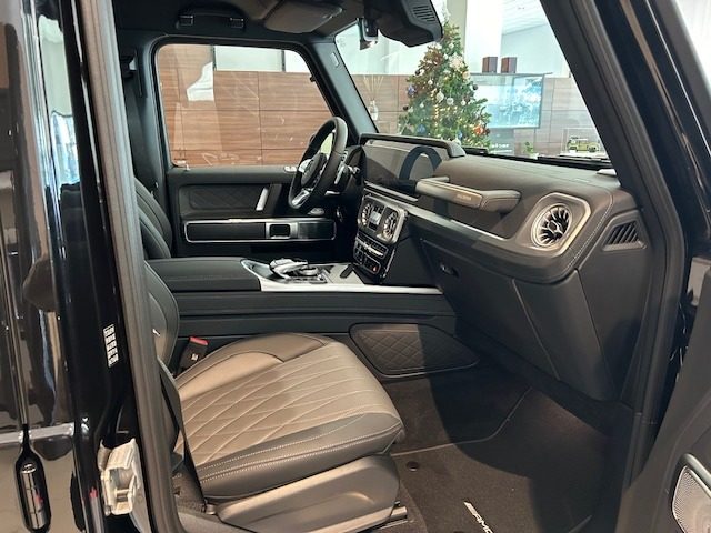 MERCEDES-BENZ G 500 usata, con Park Distance Control