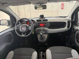 FIAT Panda usata, con Airbag testa