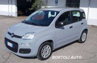 FIAT Panda 1.2 GPL 36.000 KM EASY POWER IDONEA NEOPATENTATI