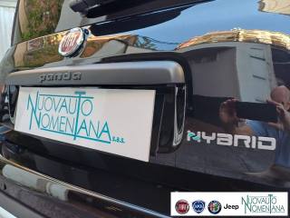 FIAT Panda usata, con Cruise Control