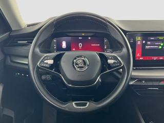 SKODA Octavia usata 11