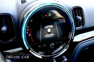 MINI Countryman usata, con Fendinebbia