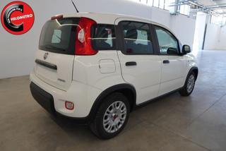 FIAT Panda usata, con Antifurto