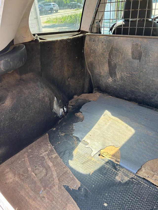 FIAT Grande Punto usata 10