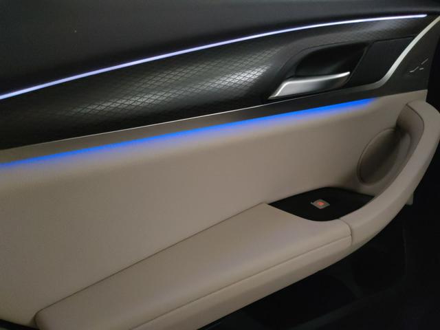 BMW X4 usata, con Cruise Control
