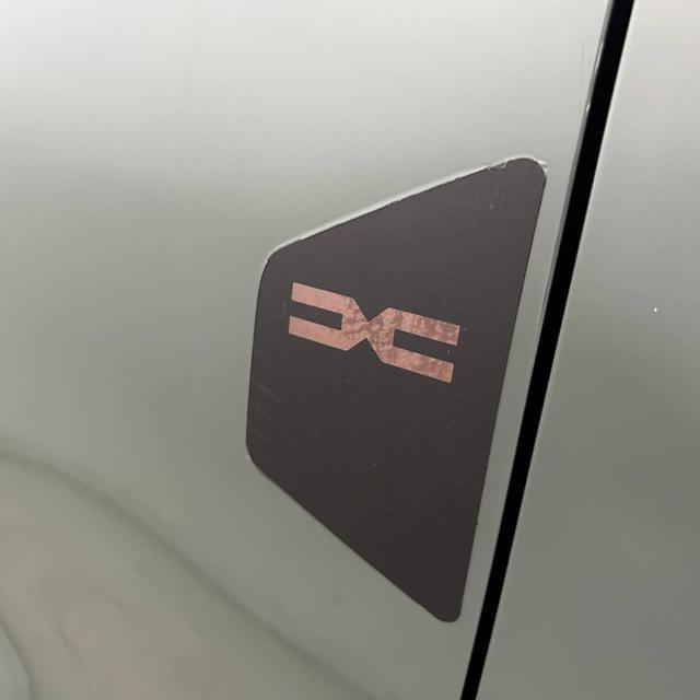 DACIA Spring usata, con Sound system
