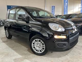 FIAT Panda usata, con Airbag Passeggero