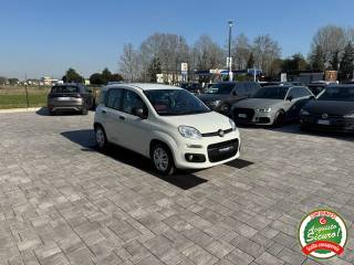 FIAT Panda usata, con Alzacristalli elettrici