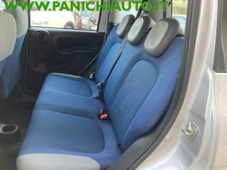 FIAT Panda usata, con Fendinebbia