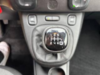 FIAT Panda Cross usata, con Chiusura centralizzata