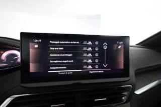 PEUGEOT 3008 usata 10