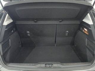 FORD Focus usata, con Fendinebbia
