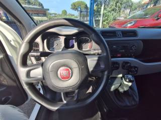 FIAT Panda usata, con Climatizzatore