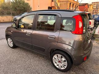 FIAT Panda usata, con Alzacristalli elettrici