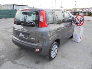 FIAT Panda usata 12