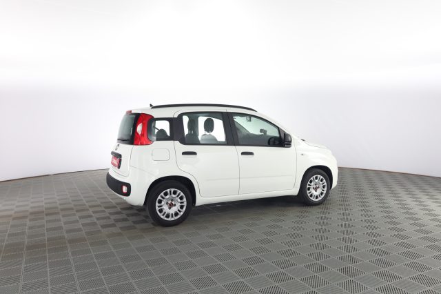 FIAT Panda usata 2